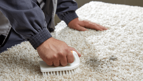 Professional Rug Cleaning Main Ridge