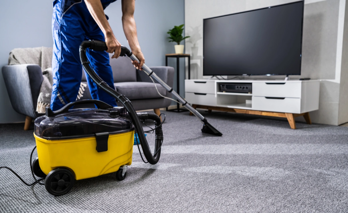 Extract Rug Cleaning Main Ridge Contact Office